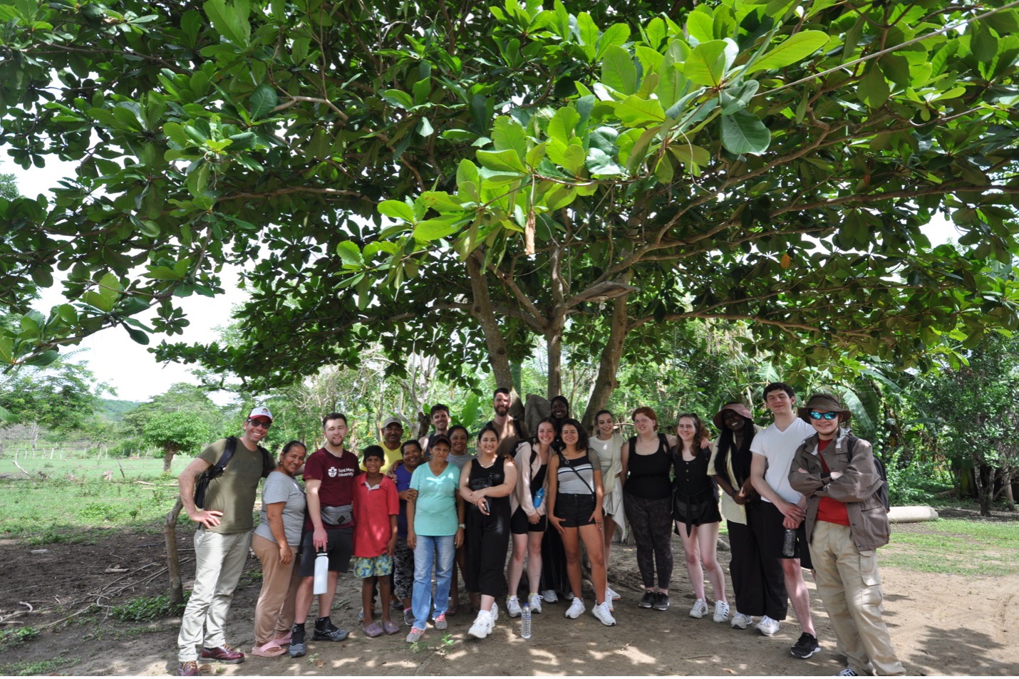 A group of students under a big tree